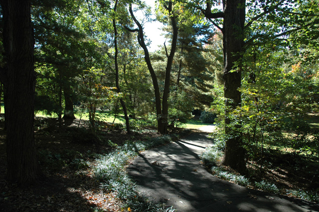 Reston Path